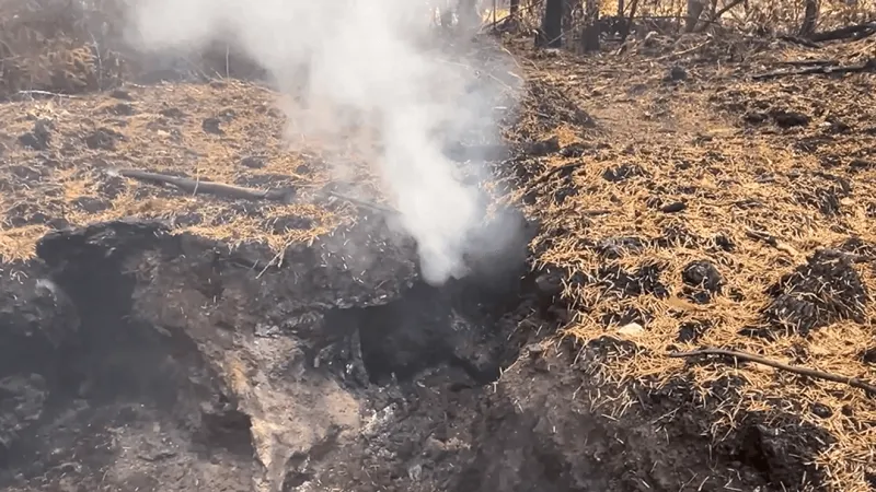 Eugene man charged with arson after Sand Prairie Fire near Oakridge