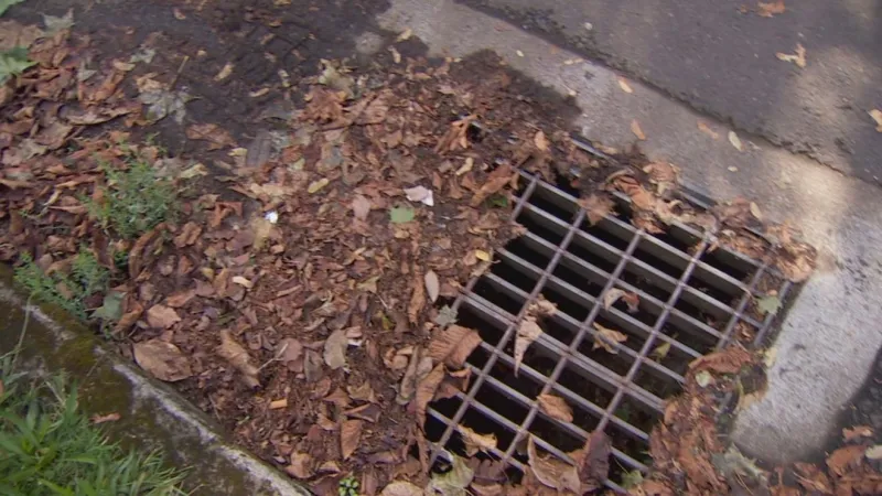 Lane County businesses encouraged to enroll in fall storm drain cleaning program