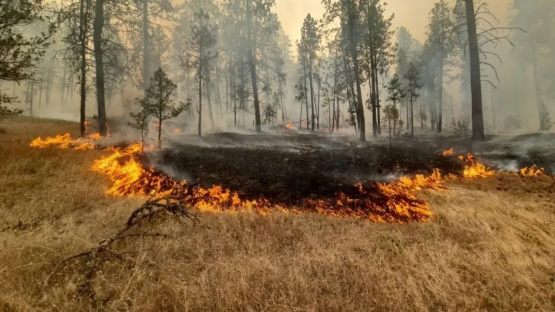 Oregon officials warn fire season is not over ahead of Labor Day weekend