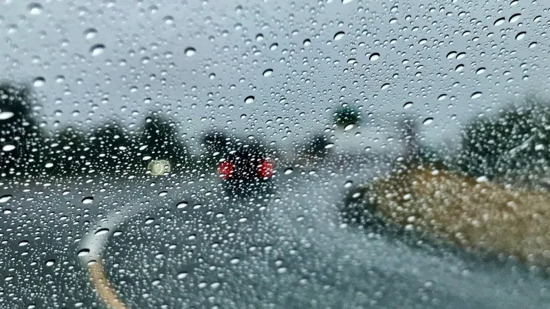 First significant rainfall of the season: how much rain did the Pacific Northwest get?