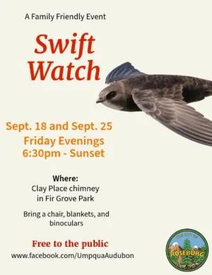 SWIFT WATCH, MIGRATORY BIRD CELEBRATION PLANNED IN ROSEBURG