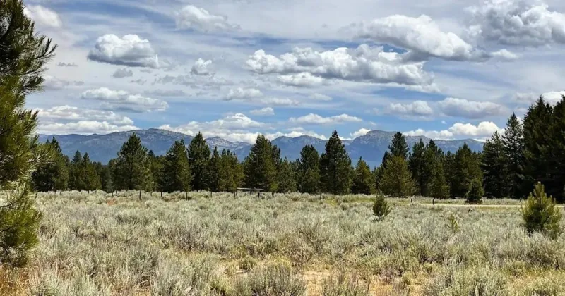 Building new communities in Idaho forests: Is it worth the risk?