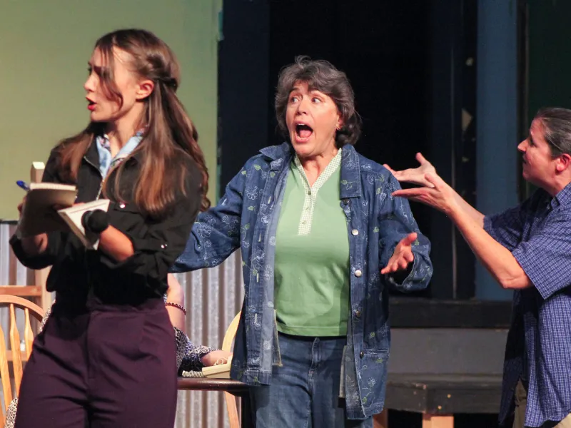 'Come From Away' production in Albany inspired by 9/11