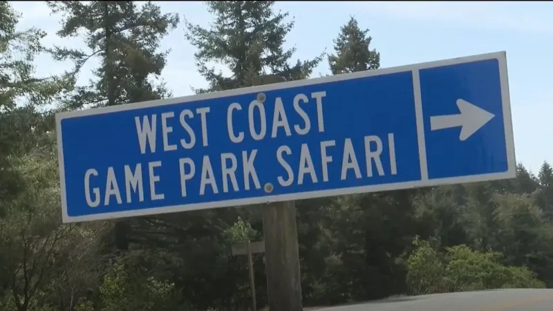 Sentencing underway for West Coast Game Park Safari owner Brian Tenney