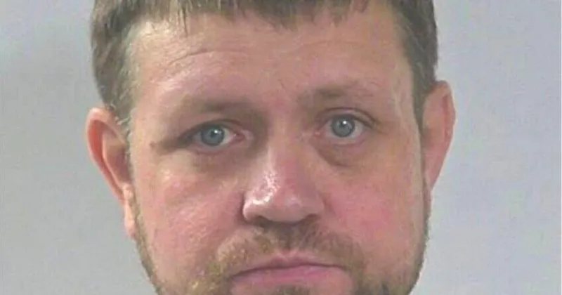 Man faces felony animal abuse charges for alleged cat killings
