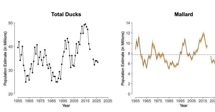North American waterfowl survey finds slight decline