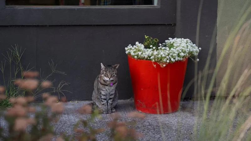 Welcome to White Salmon. Please don't feed the mayor