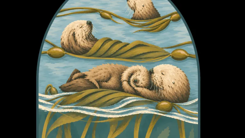 Sea Otter Awareness Month highlights potential return of otters to Oregon Coast