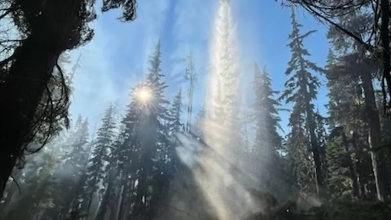 Umpqua National Forest lowers Fire Danger Level to "Moderate