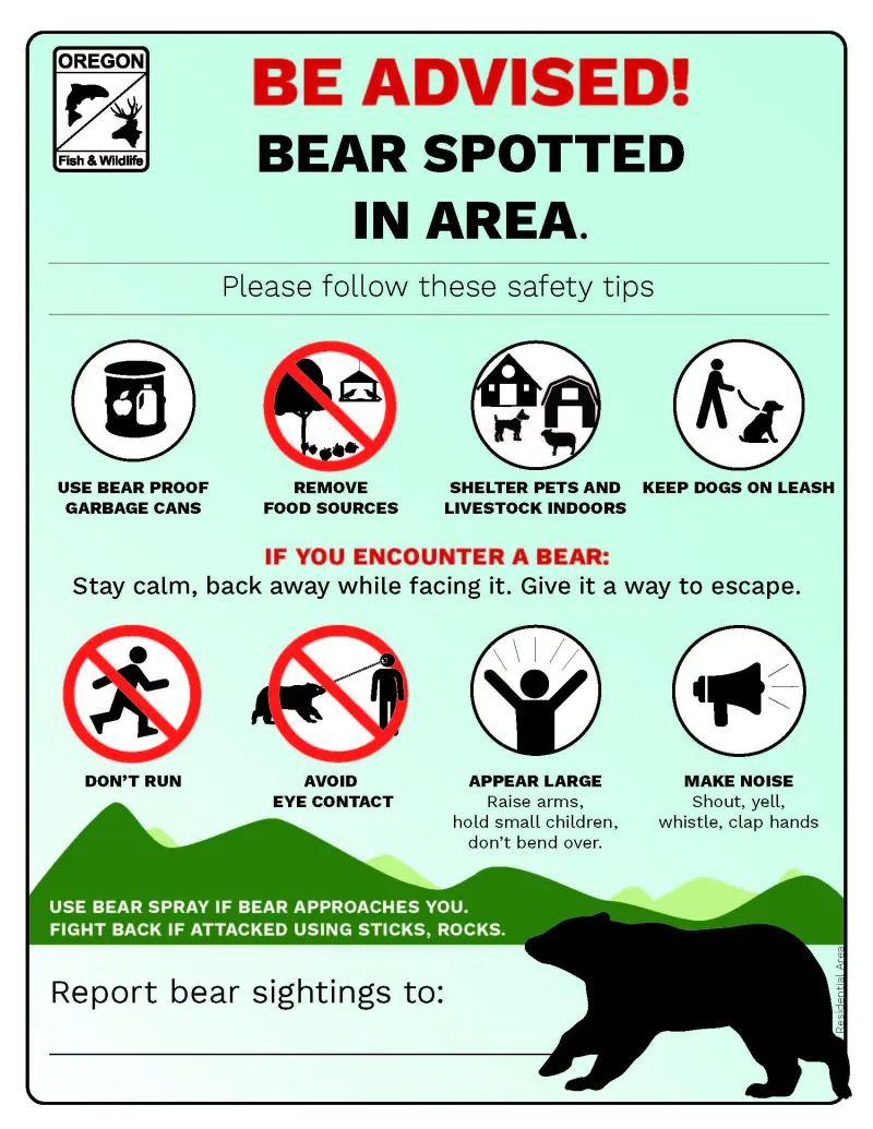 Bend Bear Cub
