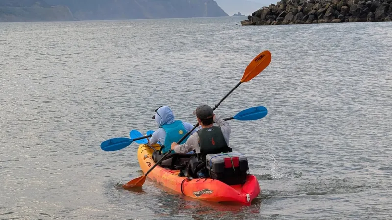 Why gray whales are becoming harder to find near Port Orford
