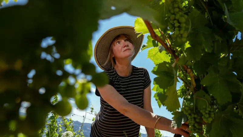 In states famous for wine, women vintners find success off the beaten path