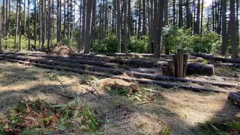 Spencer Butte parking lot closed through Thursday to remove fallen trees