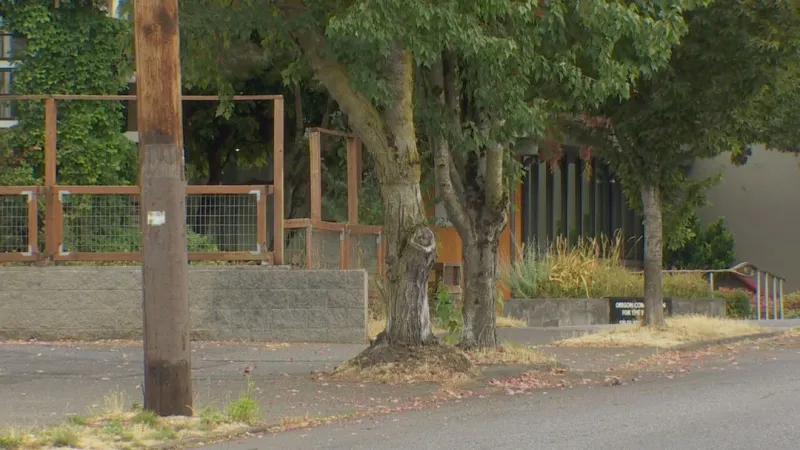 Police identify man killed in late-August shooting in Portland's Buckman neighborhood