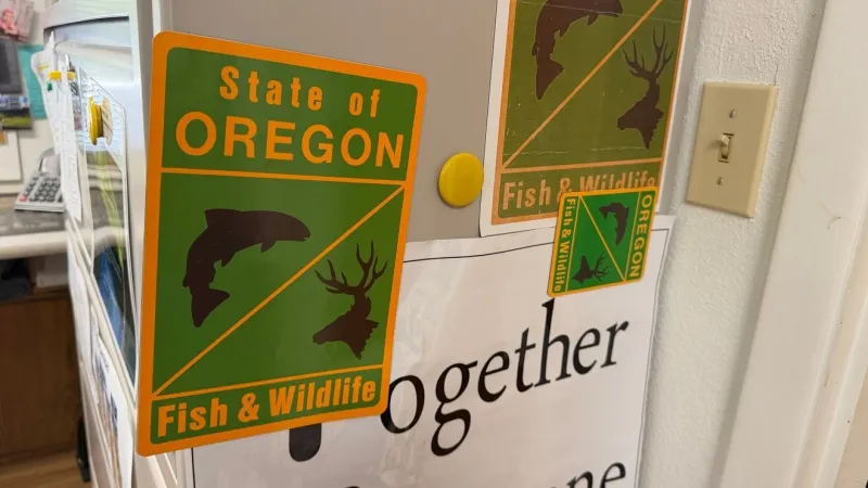Deer, elk collisions rise in fall; what Oregon drivers should know when salvaging roadkill