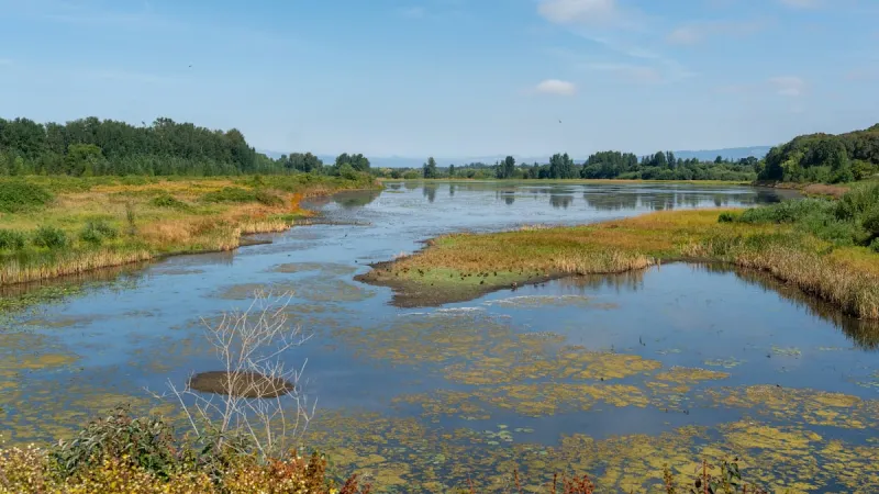 In a fast-growing Washington city, pressure for growth clashes with love for a wildlife refuge