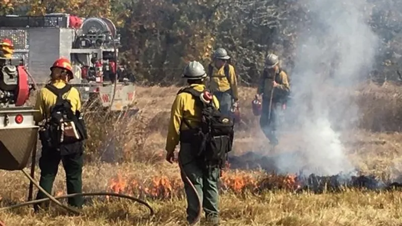 Lane County Parks plans prescribed burn at Howard Buford Recreation Area, weather permitti