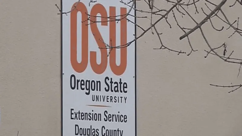 Drought and rising temperatures fuel forest insect damage, prompting Roseburg workshop
