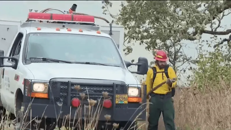 Lane County Parks conducts 35-acre prescribed burn to cut wildfire risk on Mt. Pisgah
