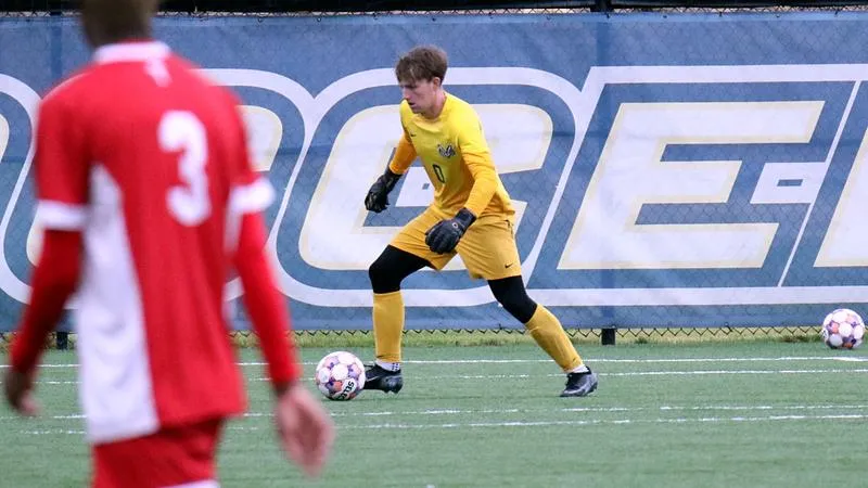 Harwood Makes Key Saves, Owls Run Unbeaten Streak to Seven