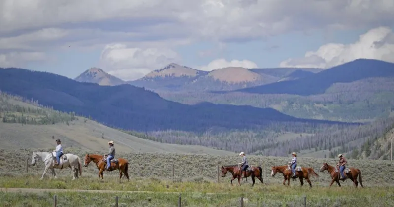 Farm charm travel trend: Immersive stays on working farms