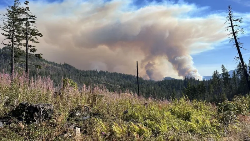 Flags flown at half-staff Tues. to honor firefighter killed fighting Oregon's Austin Fire