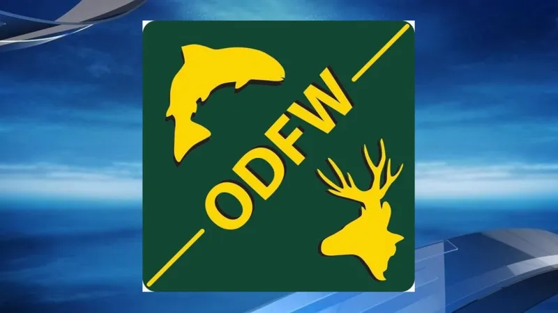 Umatilla River fall Chinook angling closes Sept. 22 below Threemile Dam