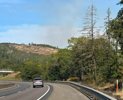DELAYS ON INTERSTATE 5 NEAR SUTHERLIN/OAKLAND FOR TREE REMOVAL BEGINS SEPTEMBER 28TH
