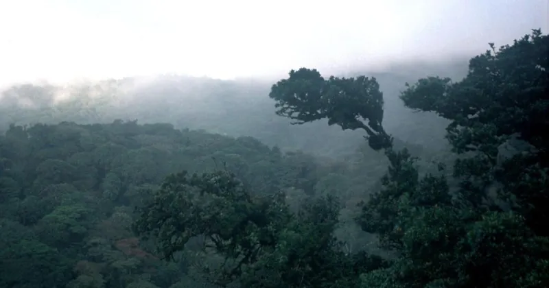 Wildlife, fewer crowds and lush scenery: Enjoy Costa Rica off-season