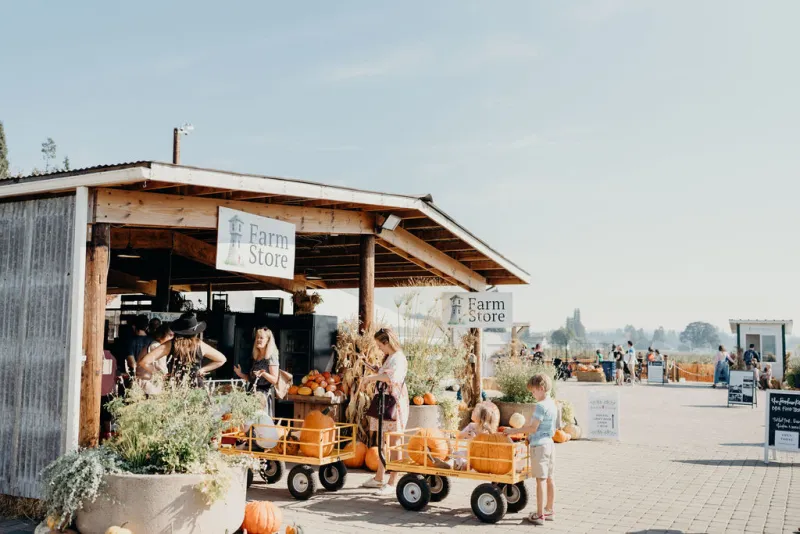 13 Great Pumpkin Patches to Visit near Portland This Fall