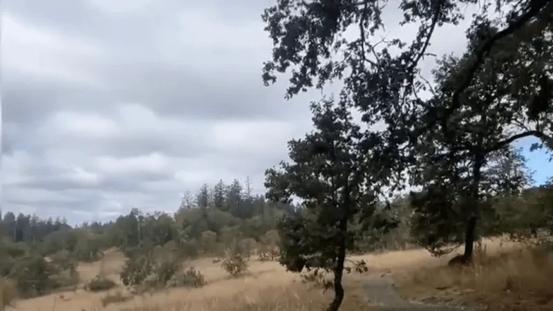 New 3.8-mile loop opens at South Eugene Meadows Park on Ridgeline Trail