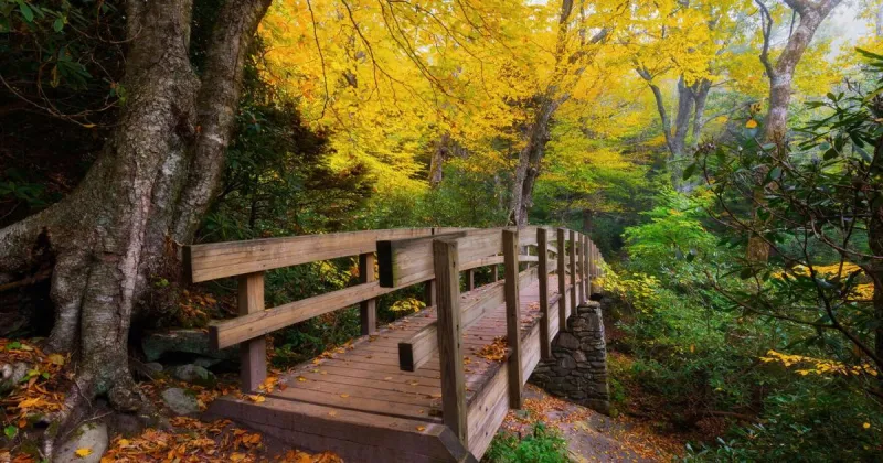 Best destinations for families to enjoy a fall foliage themed getaway