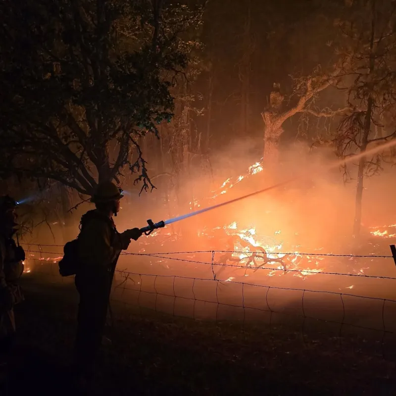 Did the Grasshopper Fire have to be so bad?