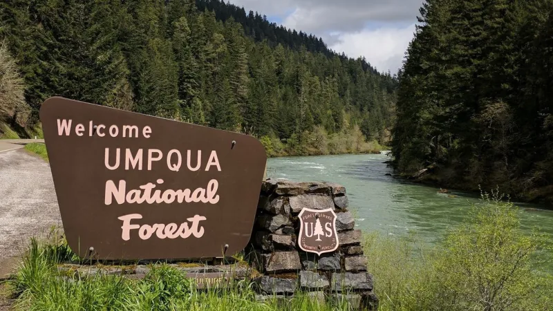 Rogue River-Siskiyou and Umpqua forests open applications for 15-seat advisory panel