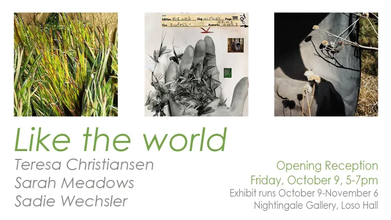 Three Artists Find the Wild in Unexpected Places