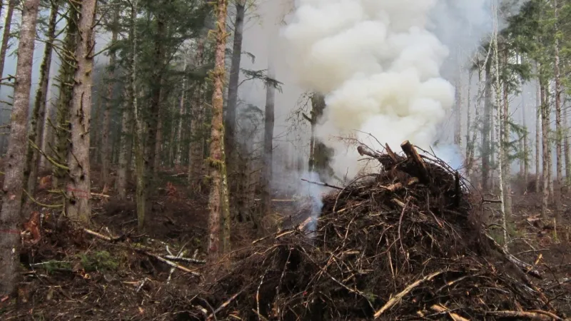 Cool, damp fall weather opens window for Siuslaw National Forest pile burns soon