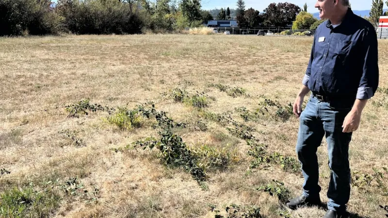 Tiny home village for homeless seniors coming to Grants Pass