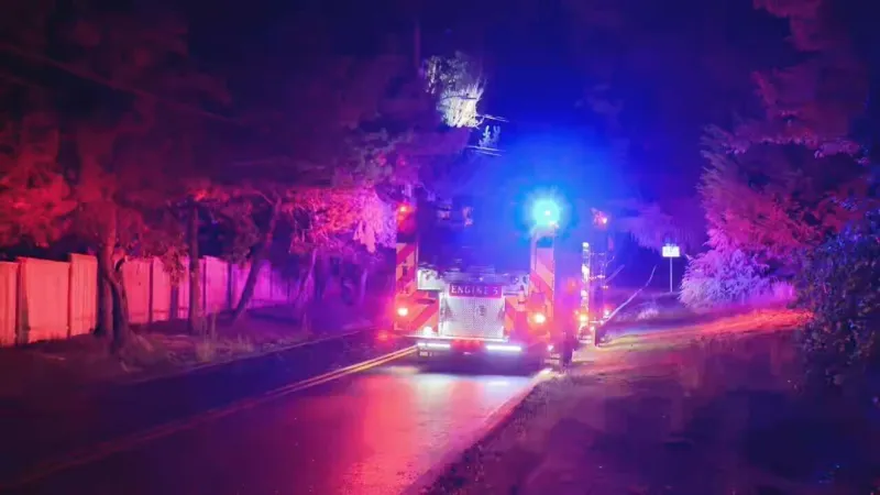 Power outages and falling trees mark wet and windy Friday morning