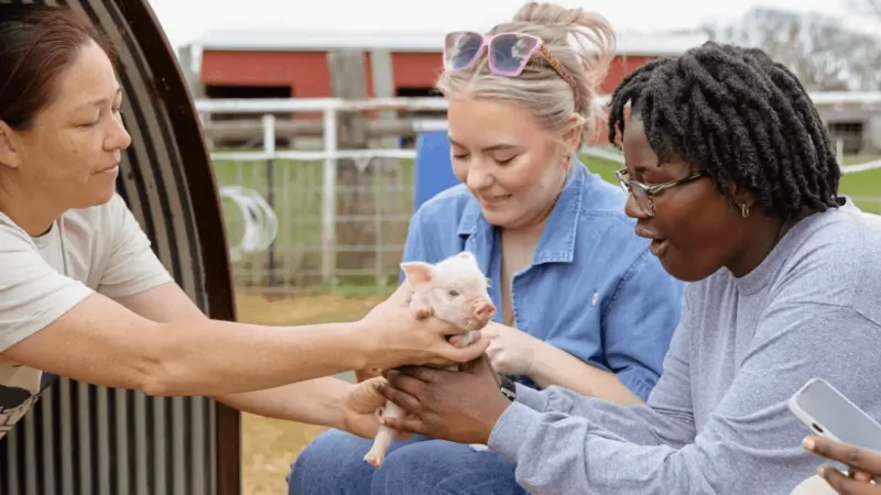 Airbnb offering farmers up to $10K with 'Farm To Stay' grant as agrotourism industry grows