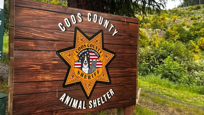 Coos County Animal Shelter pauses intakes as kennels fill, low adoption rates