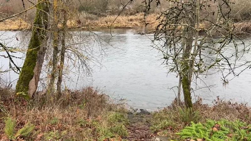 Body found in McKenzie River near Armitage Park; victim pronounced dead at scene