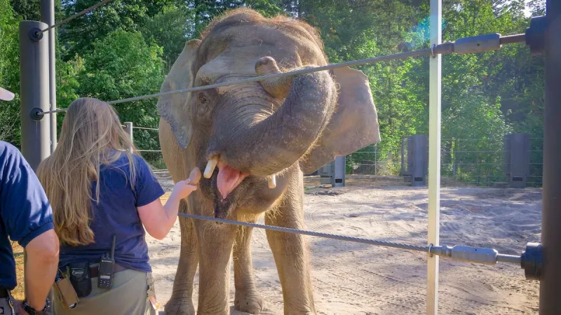 Association of Zoos and Aquariums holds annual conference in Portland