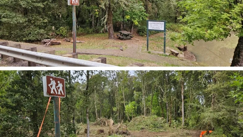 Fern Ridge Wildlife Area's Coyote Creek access site closed for improvements