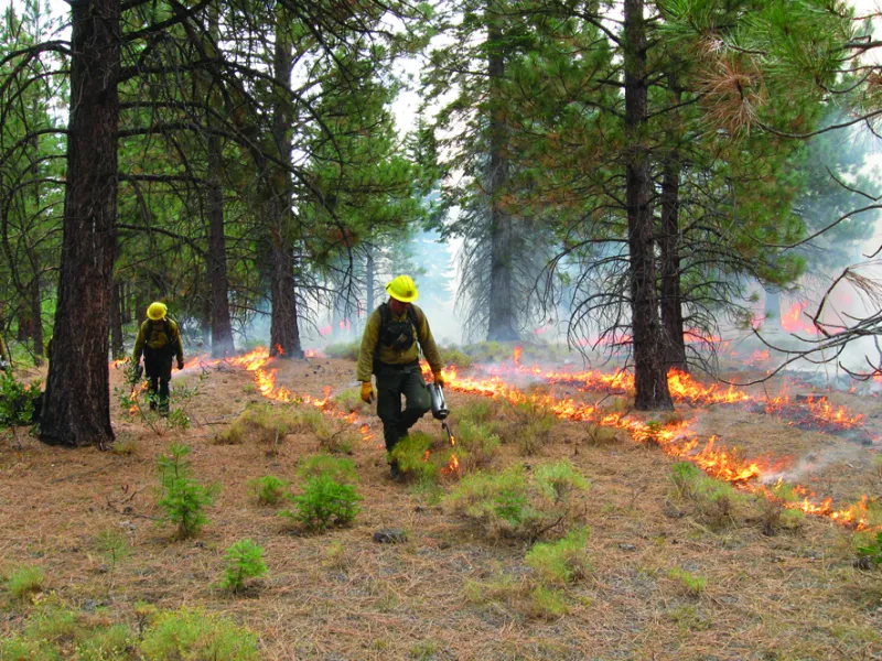 Prescribed Burns