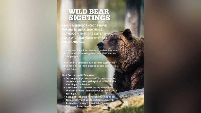 Reedsport warns residents after bear sightings, urges securing trash and not feeding bears