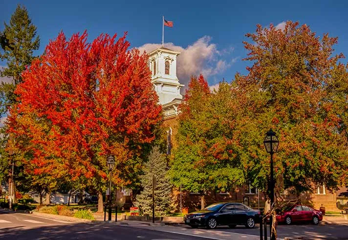 OCTOBER MUSINGS -- by Donna Bowen