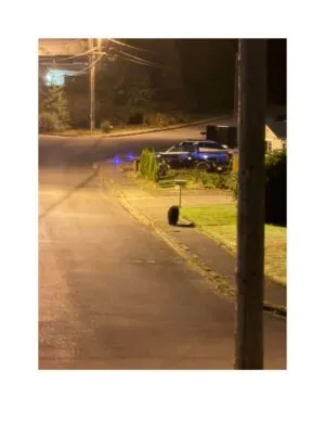 CITY OF REEDSPORT WARNS OF BEAR SIGHTINGS