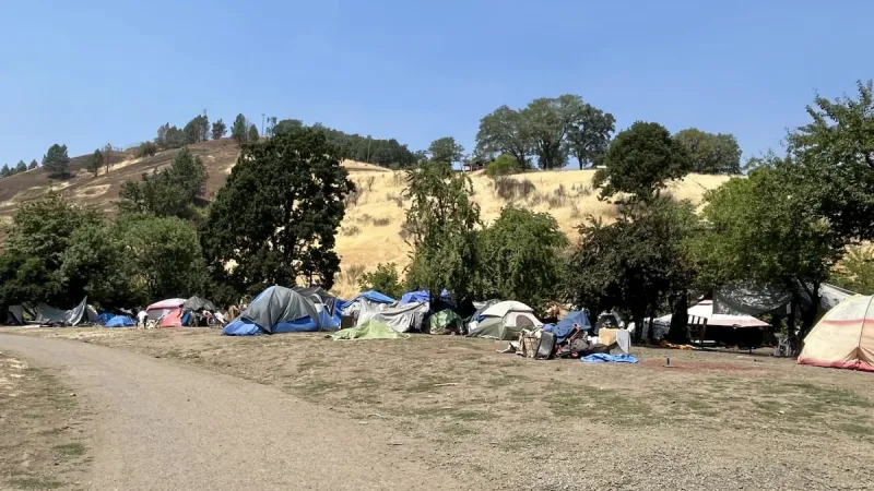 Roseburg City Council votes down yet another urban campground proposal