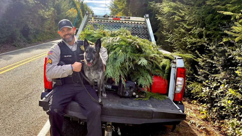 K-9 Cena tracks third suspect after deputies find man slumped in vehicle on patrol