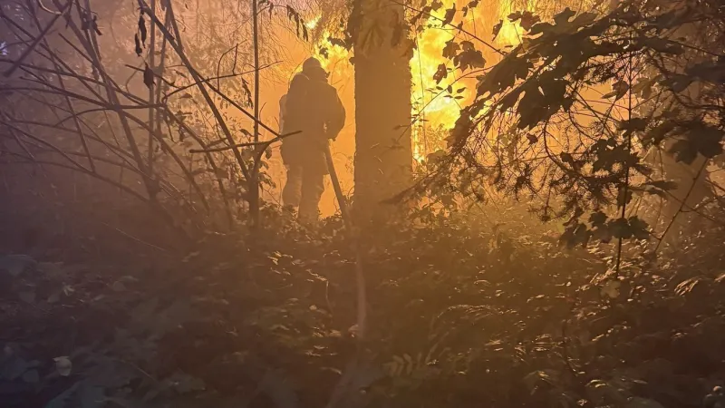 Firefighter injured as crews battle house, garage fire in Sweet Home